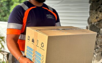 Pourquoi Choisir DMST pour Vos Besoins de Transport à La Réunion ?